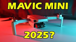 DJI Mavic Mini Worth Buying in 2024  10 things you NEED to Know [upl. by Ahsinrad]