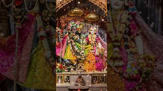 Manse bolo radhe radhe 🙏 ji 🙏🪷radhakrishna sorts [upl. by Sualohcin370]