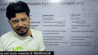 Euchromatin vs heterochromatin  heterochromatin and euchromatin difference [upl. by Pryce355]