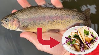 MOUNTIN TROUT CATCH AND COOK PuddingstoneFrank G Bonelli [upl. by Bowyer]