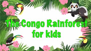 Facts about the Congo Rainforest For kids [upl. by Joashus989]