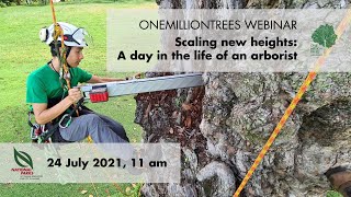 NParks OneMillionTrees Webinar  Scaling new heights A day in the life of an arborist [upl. by Schweitzer]