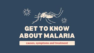 Malaria Understanding Preventing and Managing a Global Health Challenge [upl. by Roleat993]