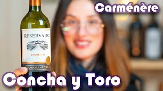 Carménère Concha y Toro Reservado  Bom igual ao Cabernet Sauvignon [upl. by Carlynn]