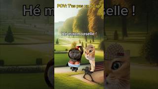 POV tas pas un snap chatdrole pov catmemes humour drole [upl. by Raddie]