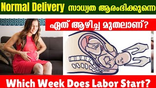 Last Month of Pregnancy Which Week Does Labor Start 3640 weeks Malayalam [upl. by Sire]