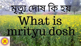 মৃত্যু দোষ কি হয়  What is mrityu dosh  লেটস টক্  Let’s talk  Subscribers [upl. by Uaerraj]