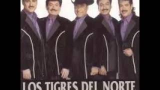 Me dicen perseverante  Los Tigres del Norte [upl. by Drhacir682]