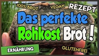 Rohkostbrot glutenfrei 🍞 Das PERFEKTE Brot [upl. by Eirruc]