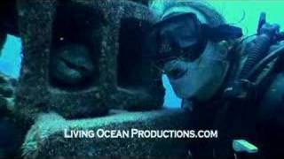 Bryce Groark getting his teeth cleaned with a moray eel by the cleaner shrimps Lysmata Amboinensis [upl. by Urba]