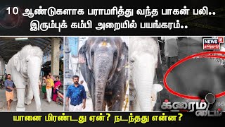 Elephant Attack  10 ஆண்டுகளாக பராமரித்து வந்த பாகன் பலி இரும்புக் கம்பி அறையில் பயங்கரம் [upl. by Cleveland668]