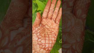 tu h to dil dhadkta h 😍 😊 ytshorts shortvideos shorts mehndi Misscutie SR [upl. by Auvil]