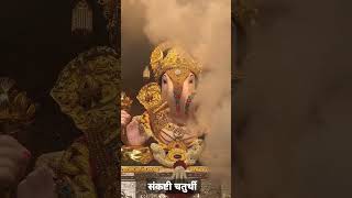 ganpatizone ganeshostav chaturthi youtubeshorts sankashti chaturthi aarti askganesha vinayak [upl. by Samaria]