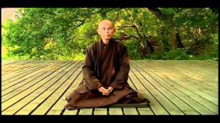 Thich Nhat Hanh about Freedom [upl. by Garber483]