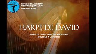 HARPE DE DAVID [upl. by Tychon24]