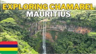 THINGS TO DO IN MAURITIUS 🇲🇺 Chamarel Waterfall Seven coloured earth Rum distillery amp Restaurant 🤩 [upl. by Elson]