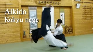 【Aikido】Kokyu Nage‐Shirakawa Ryuji sensei [upl. by Inotna]