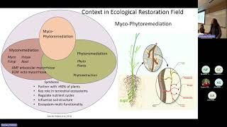 MycoPhytoremediation in Riparian Forest Buffers Restoration Education Training amp Rematriation [upl. by Attelrak]