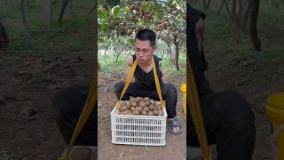 How Handicap Farmer Collect Fruits 🍎🥭🥹 shorts handicap fruit [upl. by Hsoj]