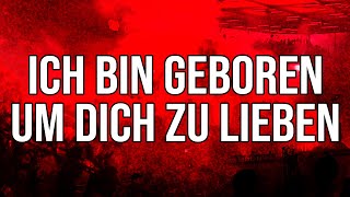 Ich bin geboren um dich zu lieben  Fanlieder [upl. by Nivanod]