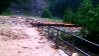 Mure Hochwasser in Donnersbach Wald [upl. by Anchie]