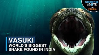 From Myth to Reality World’s Biggest Snake ‘Vasuki’ Discovered in India  Connecting The Dots [upl. by O'Meara]