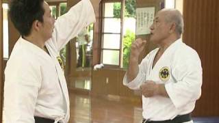 Shorinryu Seibukan History of karate Part 2 33 [upl. by Nanreh]