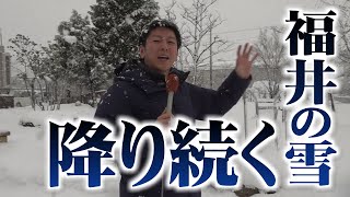 福井に降り続く雪 ピーク過ぎるも注意が必要（2023年1月26日午後4時ごろ） [upl. by Okechuku]