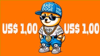 FOI BATIDO O MARTELO SOBRE BABY DOGE COIN US 1  ACABOU A DÃšVIDA [upl. by Adnohsad518]