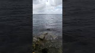 Caloosahatchee River Ft Myers FL [upl. by Htomit]