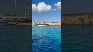 Mezmerizing water color from Blue Lagoon Malta travel malta europe fyp sea beautiful beach [upl. by Tam723]