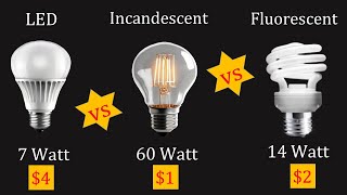 Types of Bulbs LED vs INCANDESCENT vs FLUORESCENT BULB 10 KEY DIFFERENCES [upl. by Ellenwad727]