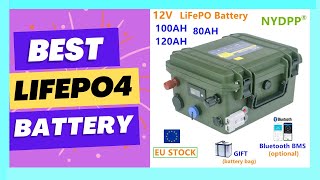 100AH 120ah 80ah Battery 12v Lithium iron phosphate battery [upl. by Analiese]