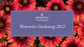 Monrovia  Waterwise Gardening [upl. by Marleah922]