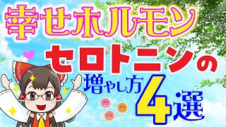 セロトニンが不足するとどうなる！？心のバランスを整える『幸せホルモン』を増やす方法をご紹介【ゆっくり解説】 [upl. by Nnylacissej496]