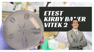 Microbiology Antibiotic Sensitivity Testing  Etest Kirby Bauer KB Vitek [upl. by Ataymik]