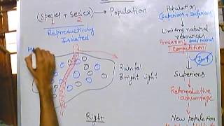 Evolution part 5 speciation 1 mechanism of speciation allopatric speciation [upl. by Enihpad434]