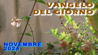 VANGELO DEL GIORNO  VENERDI 8 NOVEMBRE 2024 [upl. by Huei]