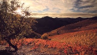 Lluís Capdevila  Priorat [upl. by Sitnik]