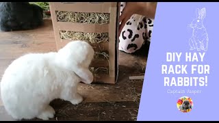 DIY HAY RACK FOR RABBITS [upl. by Nathanil574]