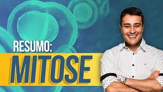 Ciclo Celular Mitose  RESUMÃO  Prof Paulo Jubilut [upl. by Einnol815]