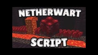 Free amp Safe NETHER WART SCRIPT for Hypixel Skyblock [upl. by Eeryn]