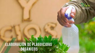 Elaboración de plaguicidas orgánicos  TvAgro por Juan Gonzalo Angel Restrepo [upl. by Risteau810]