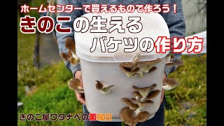 きのこの生えるバケツの作り方【きのこ屋ワタナベの菌曜日20200327】 [upl. by Melosa]