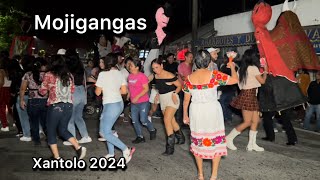 Mojigangas en Chapulhuacanito xantolo2024 [upl. by Yhtac404]