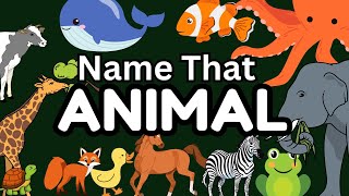 Name That Animal  Visual Interactive Toddler Learning Video For identifying Animals [upl. by Yeknarf]