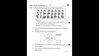 Std 10th science 2 question paper set A 2024 exam sscexam hscboard trending unittest [upl. by Acsehcnarf676]