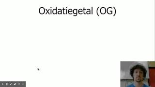 M1H1V13  ionvorming en oxidatiegetal [upl. by Lulu]