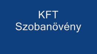 KFT Szobanövénywmv [upl. by Padget]