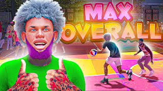 FASTEST WAY TO GET MAX BADGES AND 99 OVERALL IN 1 DAY IN 2K24 MAX EVERY BUILD YOU MAKE IN A DAY [upl. by Hobbie]